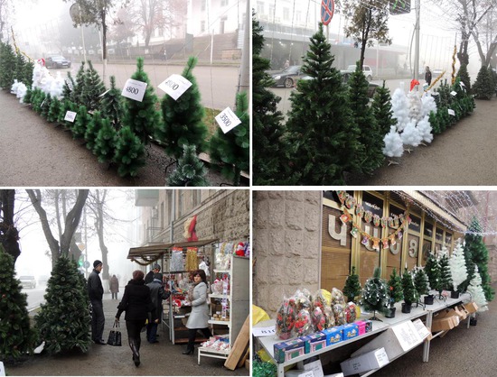 Ёлочки, ёлочки, ёлки...