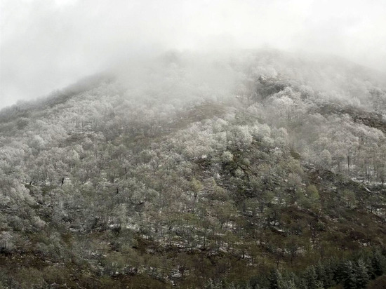 Горы, покрытые снегом, похожим на иней... Горы, покрытые снегом, похожим на иней...