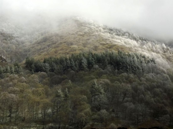 Горы нас сопровождали справа. Горы нас сопровождали справа.