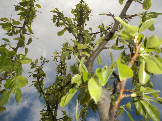 Весна застала на врасплох... Весна застала на врасплох...