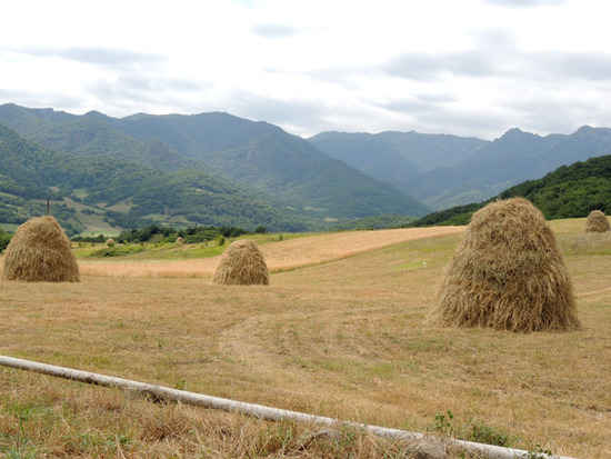 Стога сена. Стога сена.