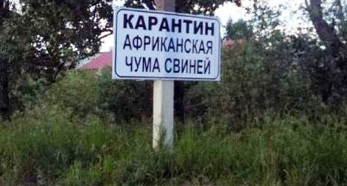 Табличка "Карантин по АЧС" Фото http://www.vluki.ru/news/2015/10/13/385447.html 