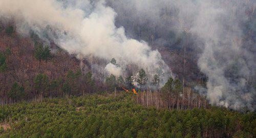 Природный пожар в Армении. Фото © Sputnik/ Игорь Агеенко
 https://ru.armeniasputnik.am/incidents/20170811/8230502/pozhar-v-vajoc-dzore-glazami-ochevidca.html