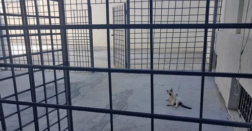 Цхинвальская исправительная колония после капитального ремонта. 27 июня 2018 г. Фото Анны Джиоевой для "Кавказского узла" Цхинвальская исправительная колония после капитального ремонта. 27 июня 2018 г. Фото Анны Джиоевой для "Кавказского узла"