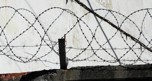 Колючая проволока на режимном объекте. Фото Нины Тумановой для "Кавказского узла" Колючая проволока на режимном объекте. Фото Нины Тумановой для "Кавказского узла"