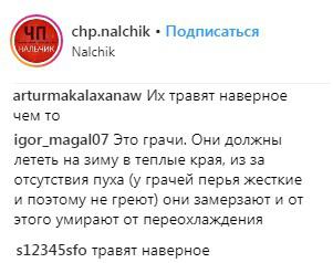 Скриншот со страницы сообщества "ЧП/Нальчик, КБР" в Instagram https://www.instagram.com/p/BtQh2FvF9aT/ Скриншот со страницы сообщества "ЧП/Нальчик, КБР" в Instagram https://www.instagram.com/p/BtQh2FvF9aT/