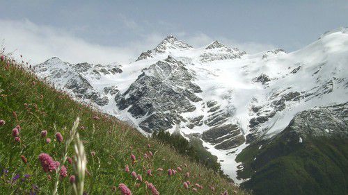 Нацпарк "Приэльбрусье". Фото пресс-службы нацпарка: http://эльбруспарк.рф/?Page=gallery&act=show_razdel&id=3 Нацпарк "Приэльбрусье". Фото пресс-службы нацпарка: http://эльбруспарк.рф/?Page=gallery&act=show_razdel&id=3