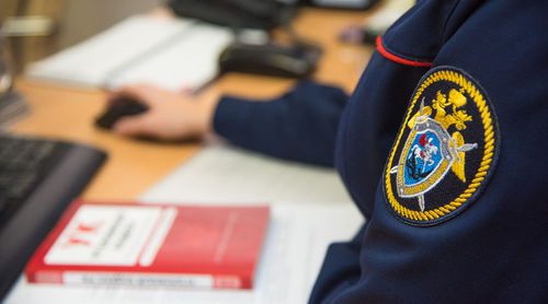 Сотрудник полиции © Фото Елены Синеок, Юга.ру https://www.yuga.ru/news/445698/
