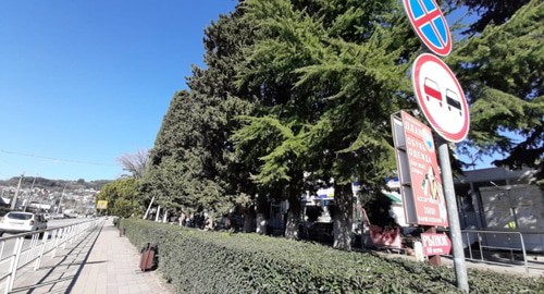 Место строительства перехода в Сочи. Фото Светланы Кравченко для "Кавказского узла". Место строительства перехода в Сочи. Фото Светланы Кравченко для "Кавказского узла".