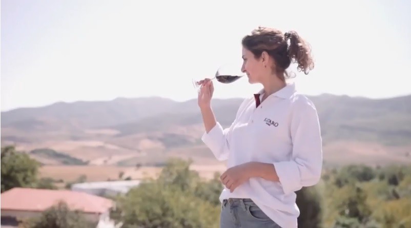 Винное производство - одна из привлекательных сторон для туристов. Кадр видео "Путешествие в Нагорный Карабах" Youtube-канала Intourist Armenia https://www.youtube.com/watch?v=jA2etV4w5O4 Винное производство - одна из привлекательных сторон для туристов. Кадр видео "Путешествие в Нагорный Карабах" Youtube-канала Intourist Armenia https://www.youtube.com/watch?v=jA2etV4w5O4