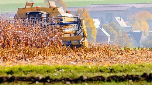 Осенние полевые работы. Фото: pixabay.com Осенние полевые работы. Фото: pixabay.com