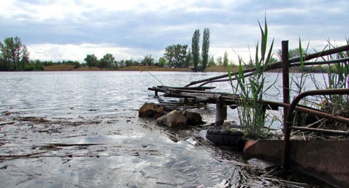 Волго-Ахтубинскую пойма. Среднеахтубинский район Волгоградской области. Фото Вячеслава Ященко для "Кавказского узла" Волго-Ахтубинскую пойма. Среднеахтубинский район Волгоградской области. Фото Вячеслава Ященко для "Кавказского узла"