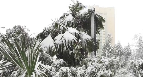 Снегопад в Сочи. Кадр видео ТРК ВС РФ "Звезда" https://tvzvezda.ru/news/vstrane_i_mire/content/20212181336-90iZA.html Снегопад в Сочи. Кадр видео ТРК ВС РФ "Звезда" https://tvzvezda.ru/news/vstrane_i_mire/content/20212181336-90iZA.html