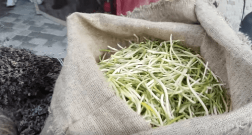 Черемша в мешке. Скриншот видео "Фестиваль черемши в Грозном 02.03.19". https://www.youtube.com/watch?v=_f1xW290HCs