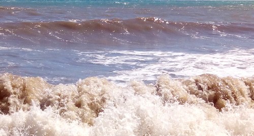 Побережье Черного моря. Фото Нины Тумановой для "Кавказского узла" Побережье Черного моря. Фото Нины Тумановой для "Кавказского узла"