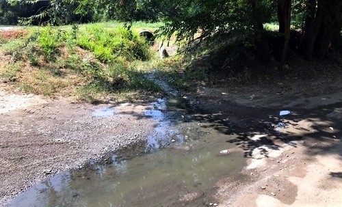 Канализационные отходы. Красный Сулин, 1 августа 2021 года. Фото Вячеслава Прудникова для "Кавказского узла".