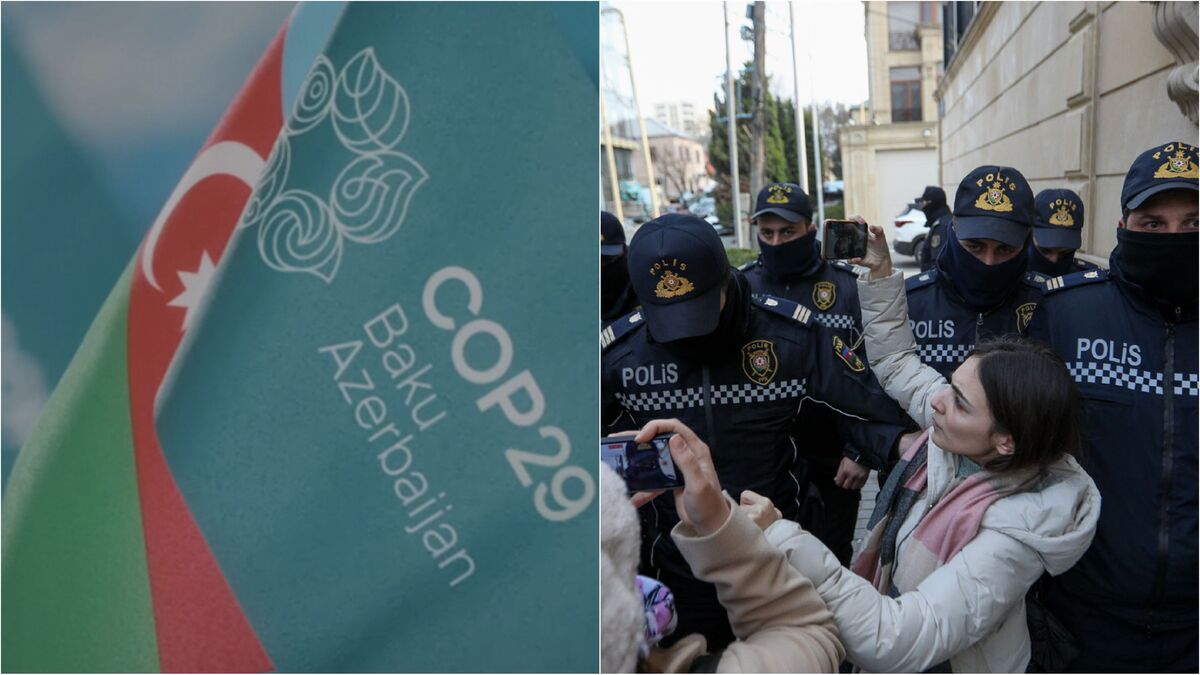 Фото корреспондента “Кавказского узла”, https://www.cop29greenzone.com
