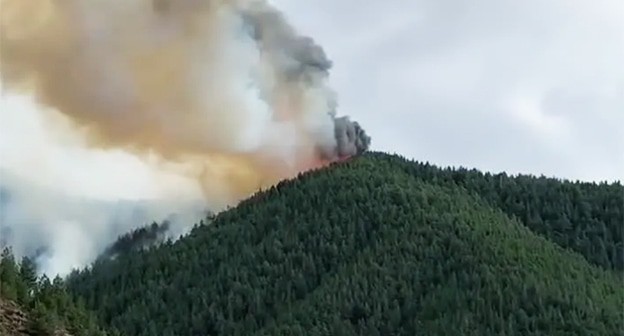 Пожар возле Инкучимахи. 2 апреля 2025 г. Скриншот видео https://pressa24.ru/02/04/2025/les-chetvertyj-den-gorit-vozle-sela-inkuchimahi-v-dagestane/