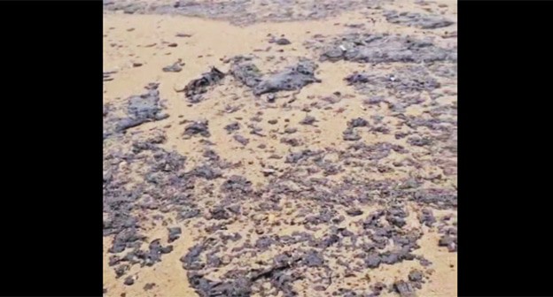 Мазут на пляжах Анапы. 4 апреля 2025 г. Скриншот видео https://t.me/MoreOz/92531