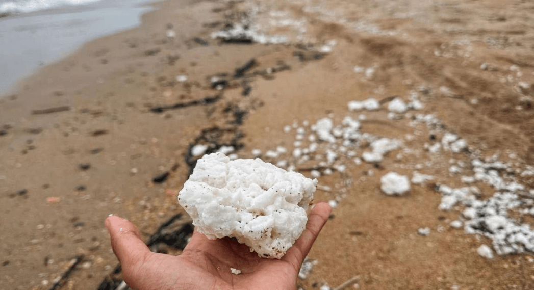 Сгустки пальмового масла на берегу. Скриншот фото из Telegram-канала Юрия Озаровского от 08.04.25, https://t.me/MoreOz/92874.