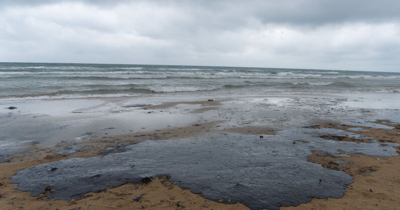 Мазут на побережье. Фото Полины Безверхой, "Юга.ру"