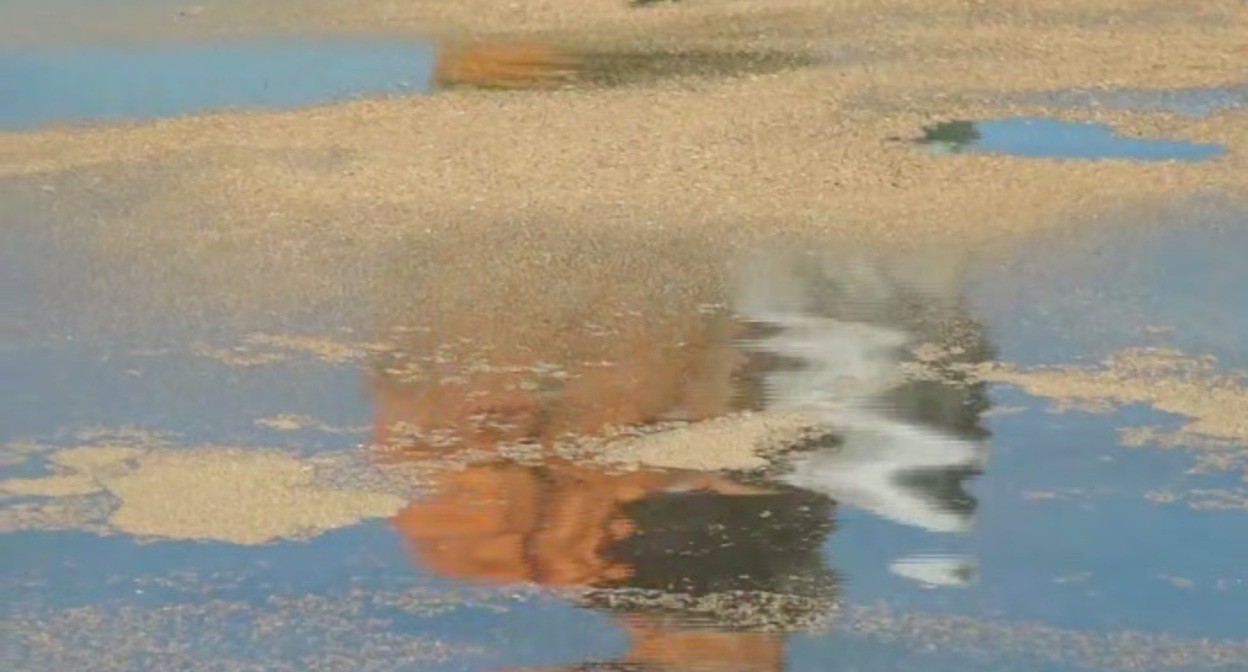 Акватория Анапы, загрязненная мазутом. Кадр видео из телеграм-канала Оперштаба Краснодарского края https://t.me/opershtab23/13298