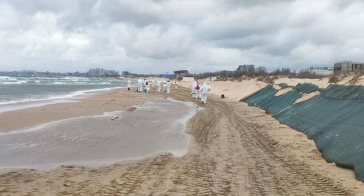 Уборка пляжей Анапы от мазута. Фото t.me/opershtab23