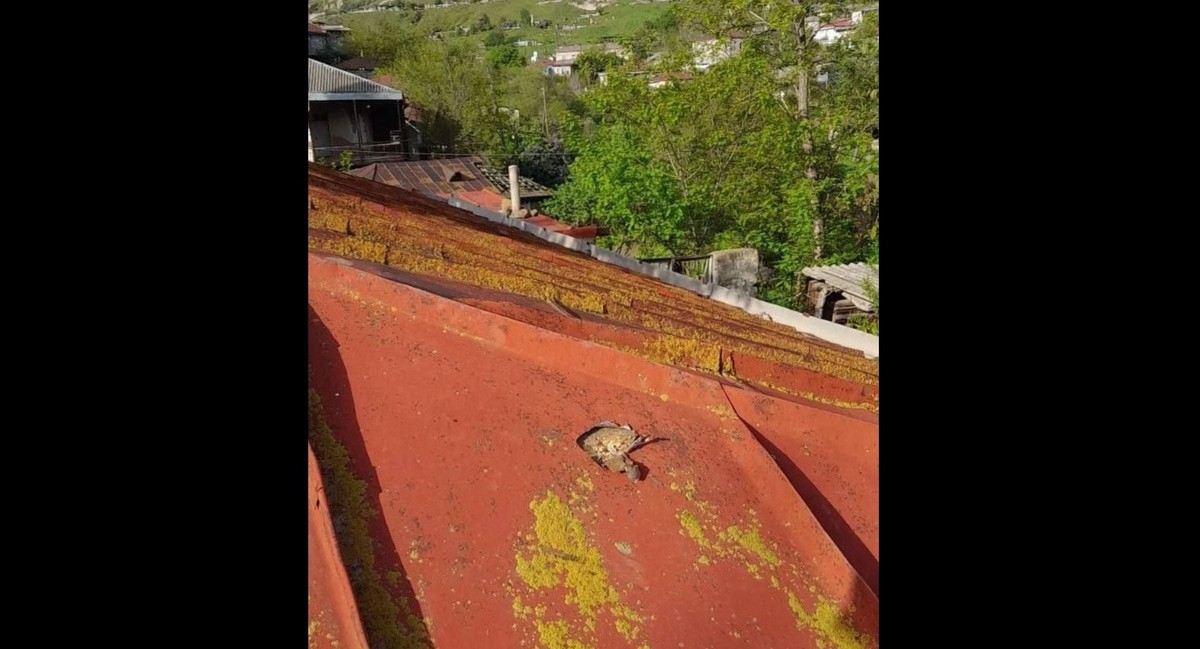 Повреждение крыши дома в селе Хнацах. Фото из телеграм-канала Минобороны Армении https://t.me/mil_armenia/16302