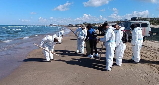 Уборка пляжа от мазута в Анапе. 14 мая 2025 года. Фото: оперштаб Краснодарского края https://t.me/opershtab23/13475