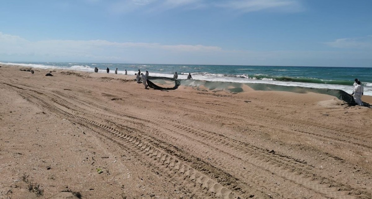 Участники ликвидации последствий разлива мазута. Анапа, 18 мая 2025 года. Фото из телеграм-канала оперштаба Кубани https://t.me/opershtab23/13503