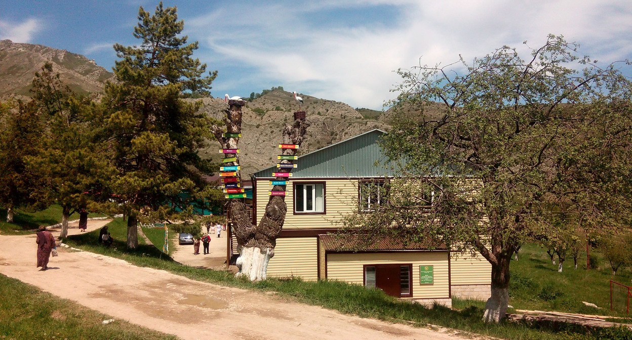 Санаторий "Гуниб". Фото: https://www.rdsgunib.ru/patsientam/terrenkury-chudesnyi-doktor