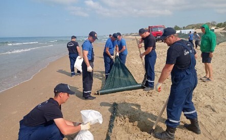 Очистка песка в районе Витязево. 5 июня 2025 года. Фото пресс-службы оперштаба Кубани.