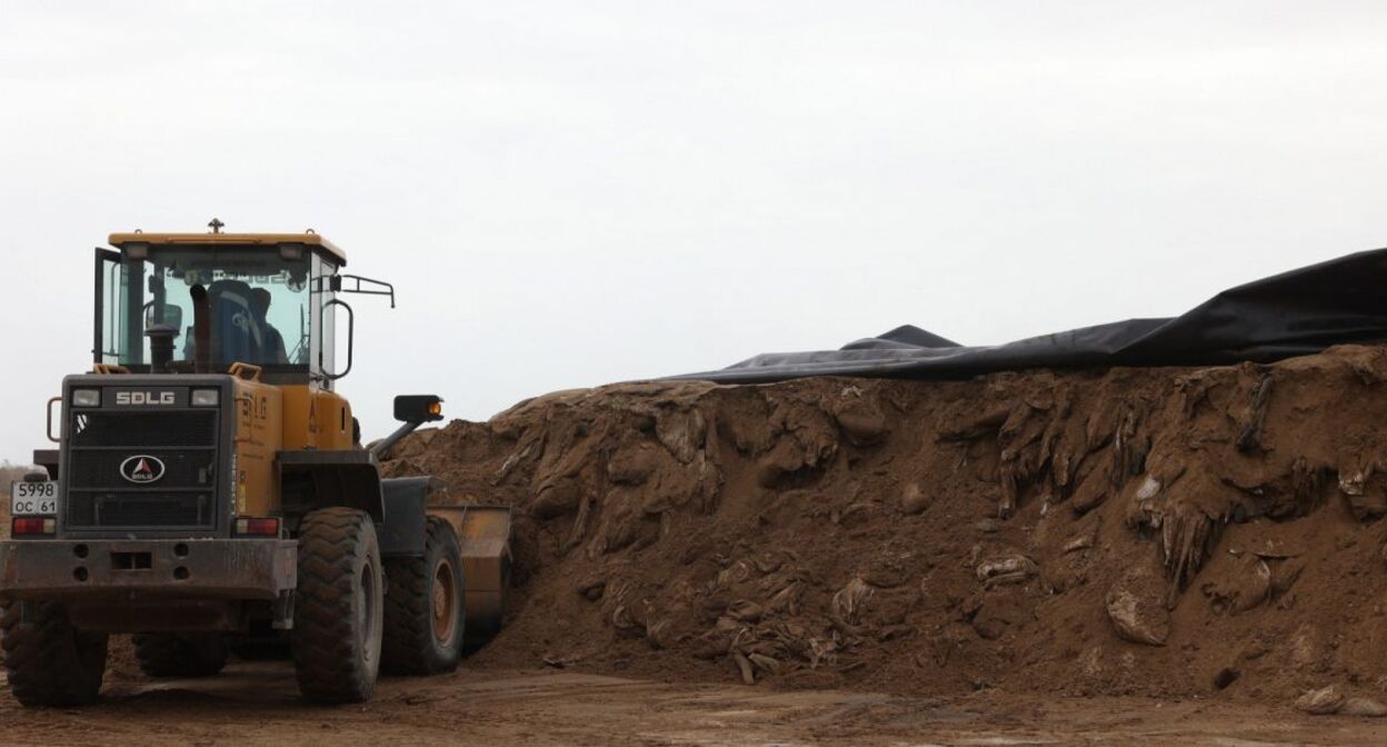 Полигон в Семикаракорском районе. Фото: https://www.donland.ru/