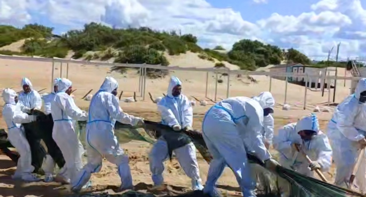 Демонтаж защитного вала на пляже в Анапе. Кадр видео оперштаба Кубани https://t.me/opershtab23/13690