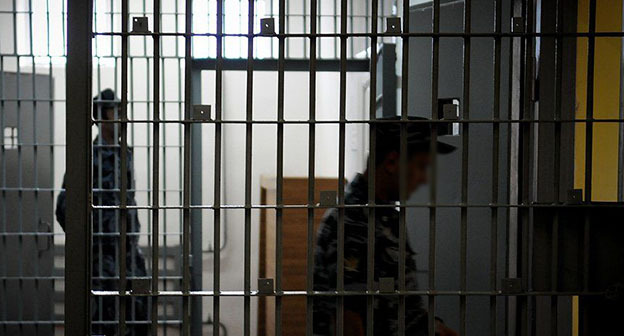 Колония. Фото: Елена Синеок. "ЮГА.ру"