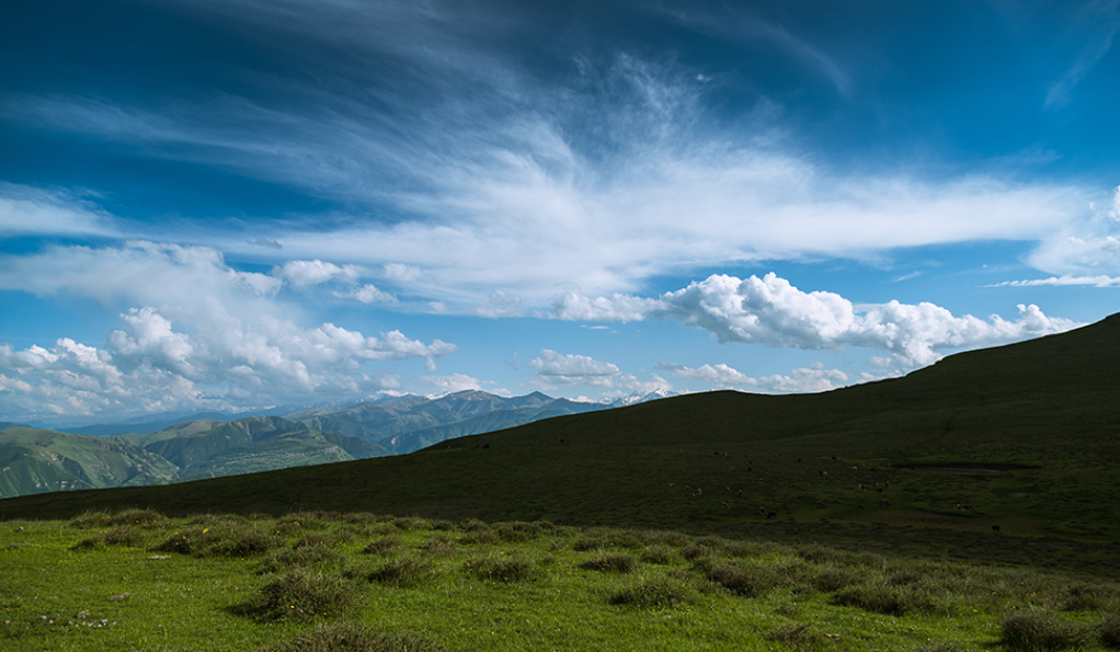 Территория вокруг санатория. Скриншот фото с сайта санатория "Гуниб" https://www.rdsgunib.ru/gallery/album/1