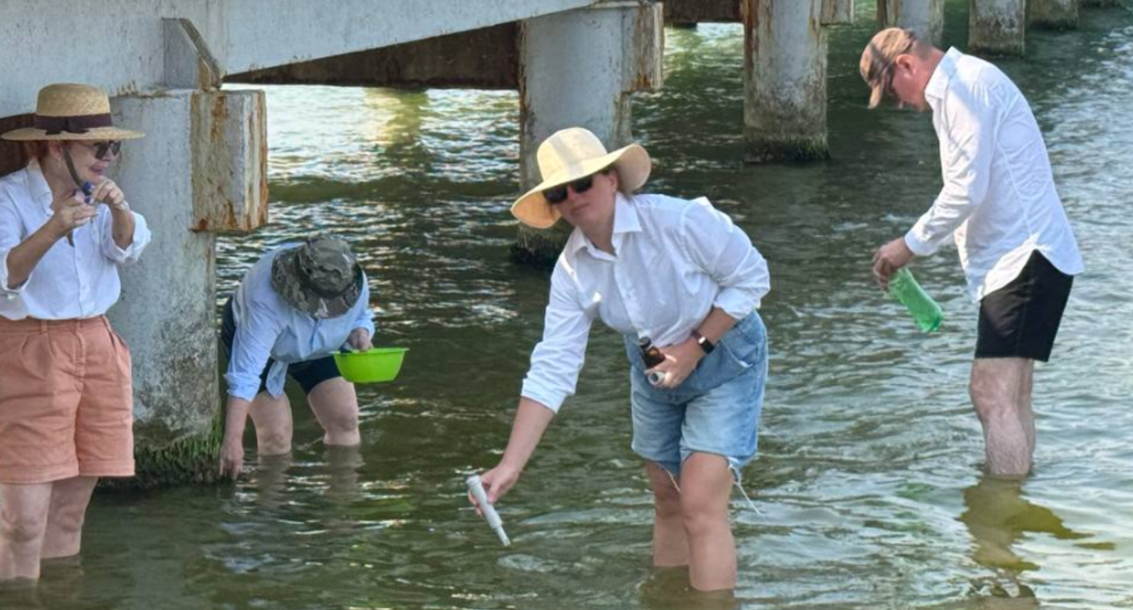 Ученые берут пробы в зоне разлива мазута. Скриншот фото субтропического центра РАН от 08.08.25, https://subtropras.ru/2025/08/исследования-учёных-установили-улуч-2/