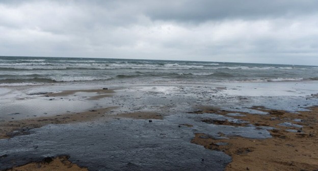 Мазут на побережье. Фото Полины Безверхой, "Юга.ру"

