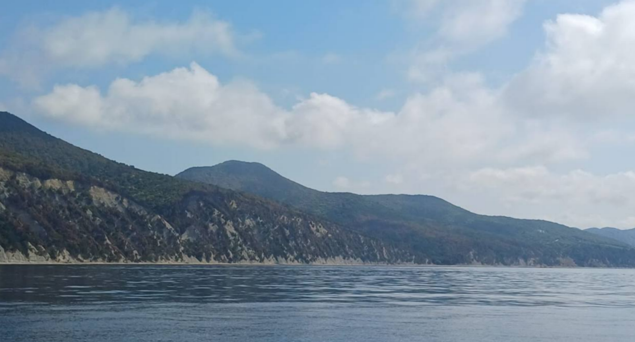 Вид на Пщадское лесничество после тушения пожара. Скриншот фото из Telegram-канала администрации Геленджика от 31.08.25, https://t.me/adm_gelen/22837.