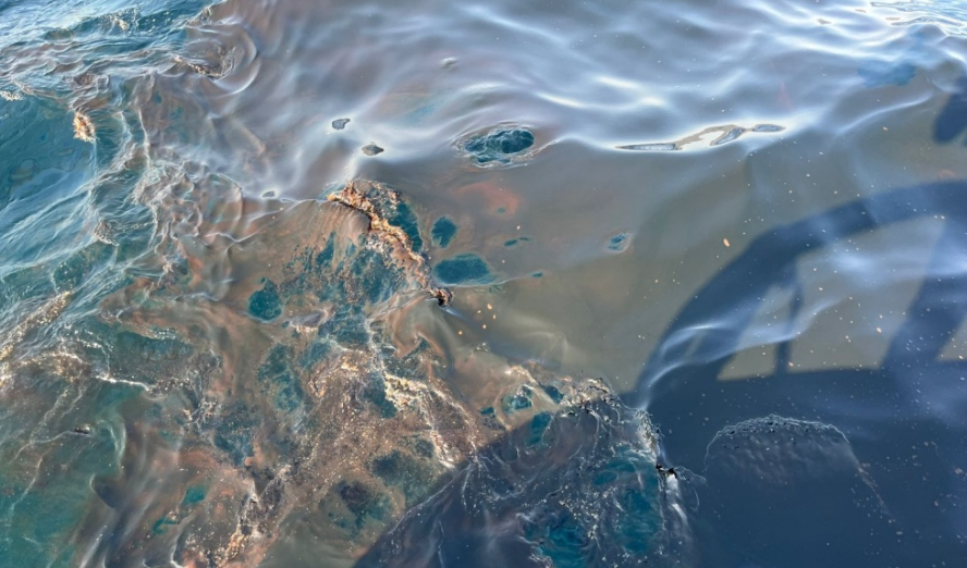 Разлив нефти у побережья Новороссийска. Скриншот фото Росприроднадзора от 29.08.25, https://rpn.gov.ru/press/news/v_morskom_portu_novorossiyska_operativno_lokalizovan_razliv_nefti/