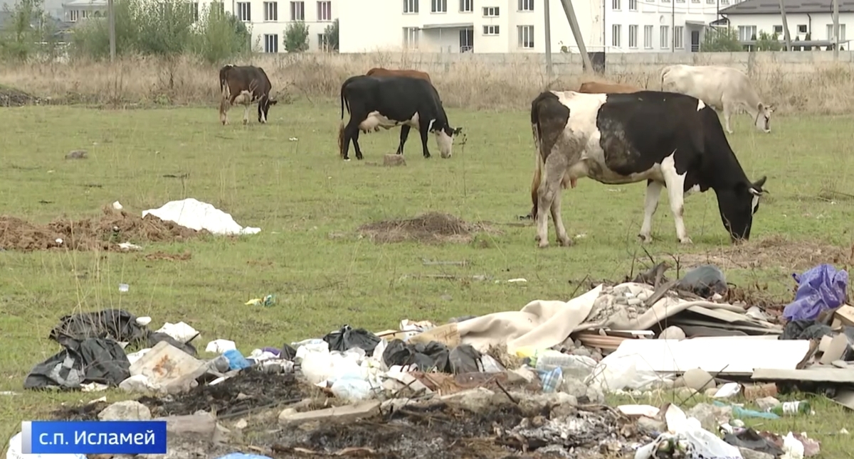 Свалки в Исламее. Кадр видеосюжета "Вести КБР". 