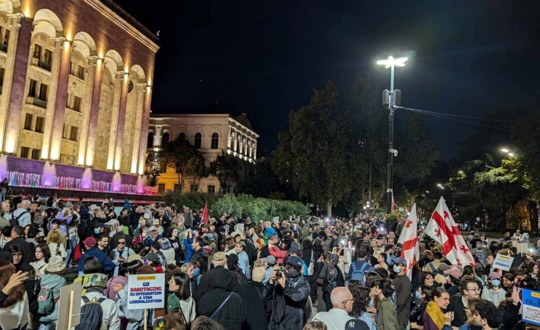Участники шествия перед зданием парламента Грузии. Фото: Бачана Саджая / On.ge