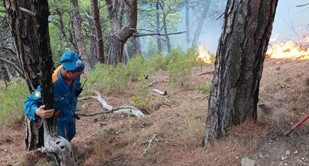 Пожар в районе Геленджика, 29 августа 2025 года. Фото: Краевой лесопожарный центр / Telegram
