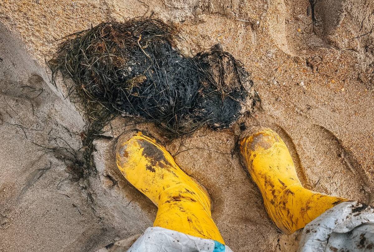 Свежий выброс мазута на Бугазской косе, 31 октября 2025 года. Фото: "Сети, сито, лопата" / Telegram