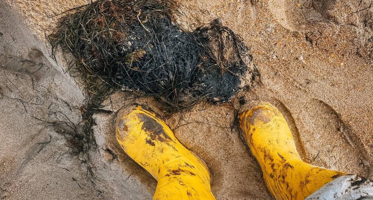 Свежий выброс мазута на Бугазской косе, 31 октября 2025 года. Фото: "Сети, сито, лопата" / Telegram