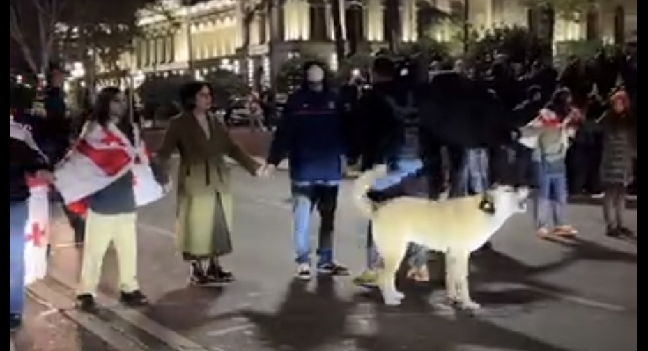 Протестующие на проезжей части проспекта Руставели, 3 ноября 2025 года. Кадр видео Publika