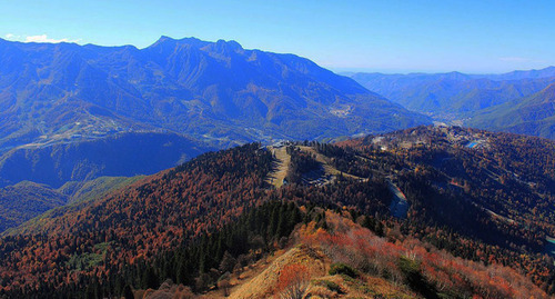 Sochi National Park. Photo: SKas https://ru.wikipedia.org/