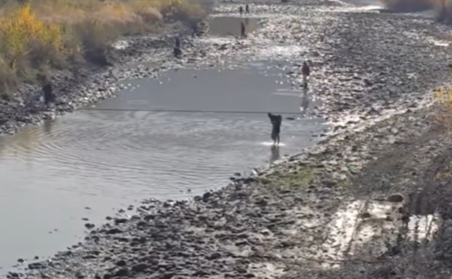 Лиахва в районе Гори. Стоп-кадр видео Quartli.ge от 10.11.25, https://www.facebook.com/reel/2814511728737390