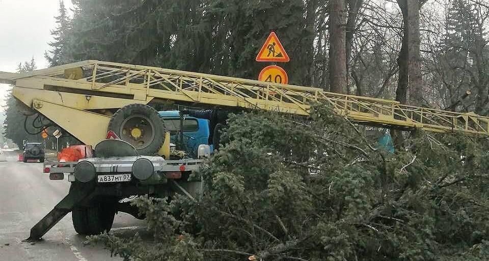 Вырубка деревьев на улице Карашаева в Нальчике. Фото: Город для людей / Telegram