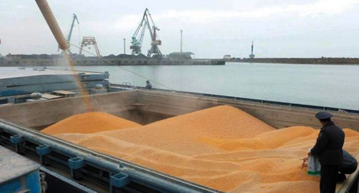 Махачкалинский порт. Фото: Управление Россельхознадзор